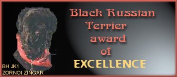 Black Russian Terrier Award of Excellence